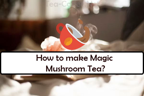 How to Make Magic Mushroom Tea?